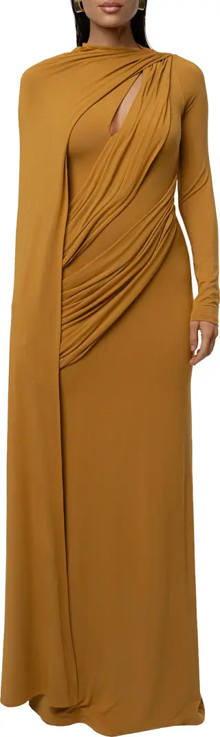 Draped Elegance Long Sleeve Gown | Nordstrom