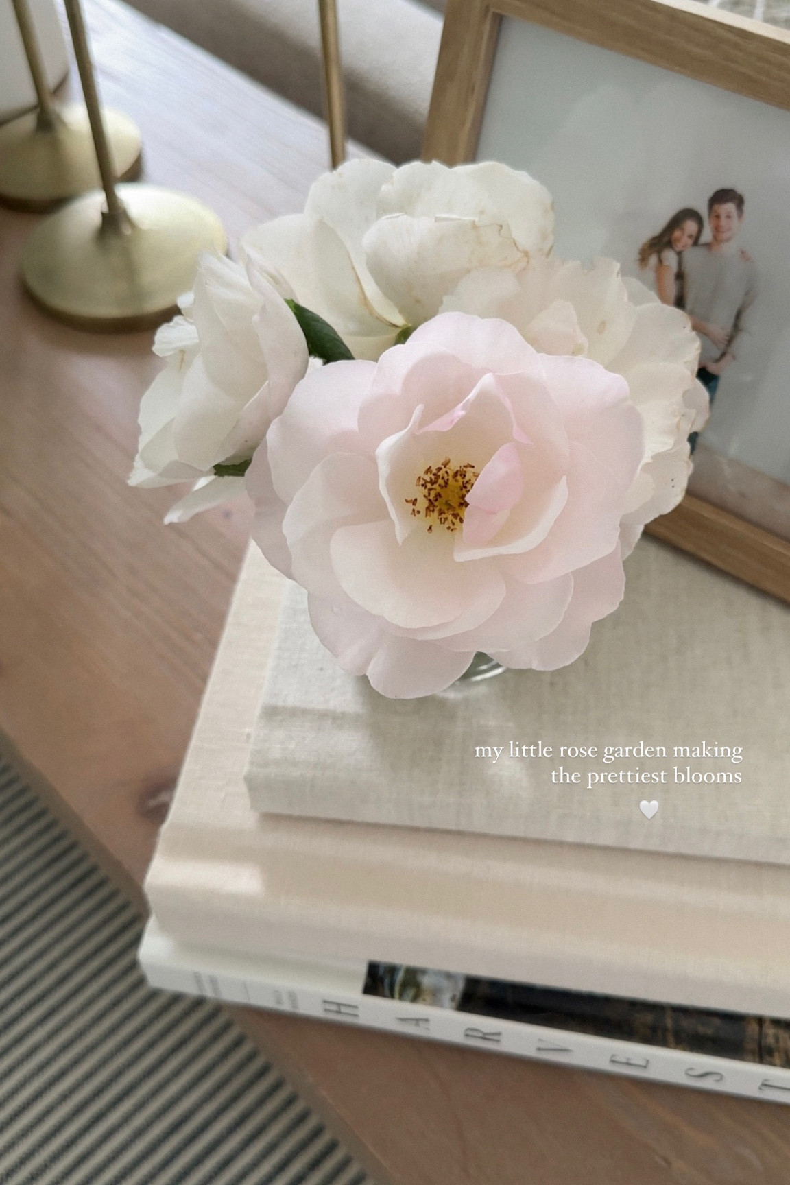 Home refresh 🫶🏼 fresh roses from the garden styled with our heirloom albums. 

#LTKHome