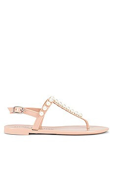 Stuart Weitzman Goldie Jelly in Poudre from Revolve.com | Revolve Clothing (Global)