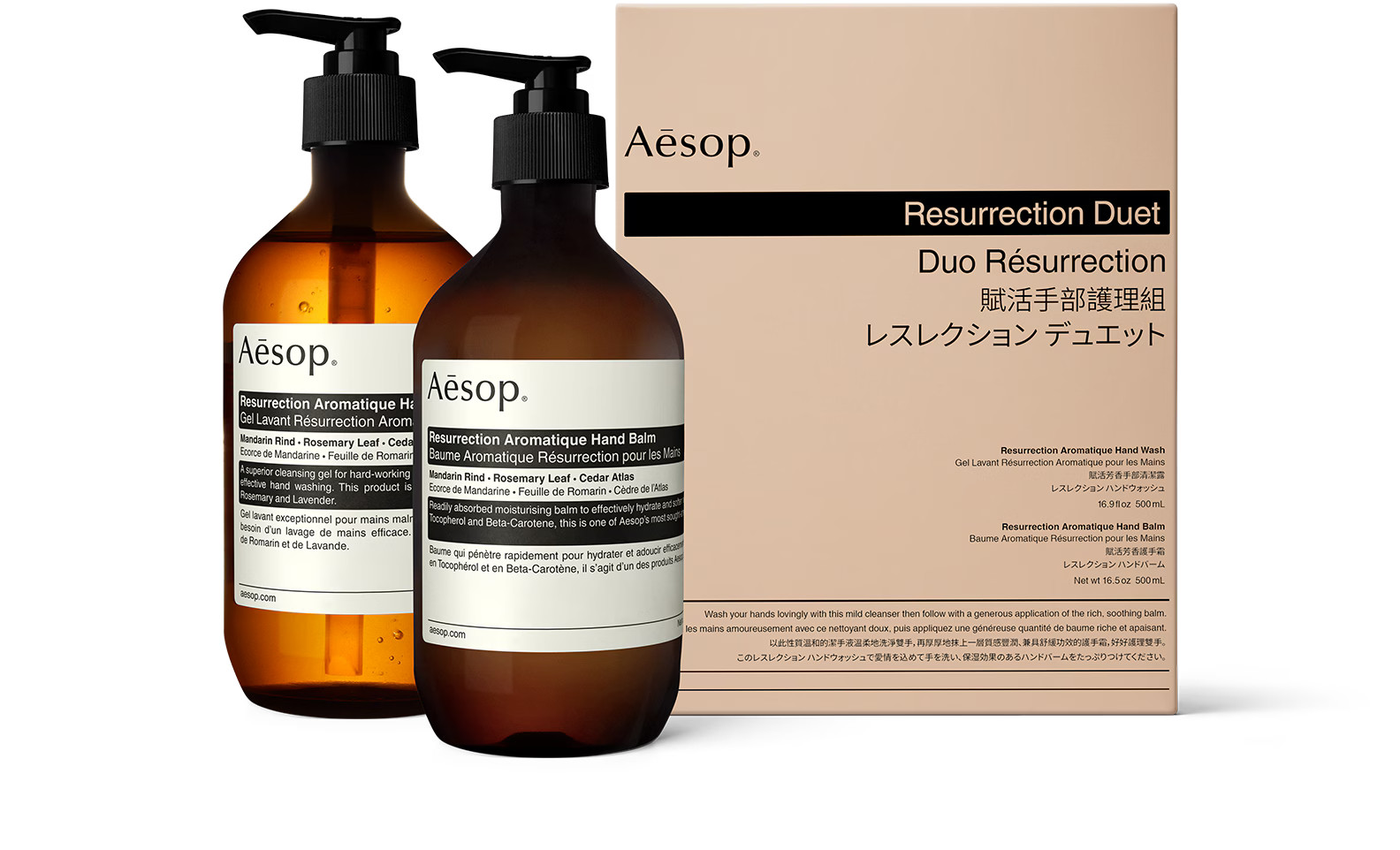 Resurrection Duet | Aesop
