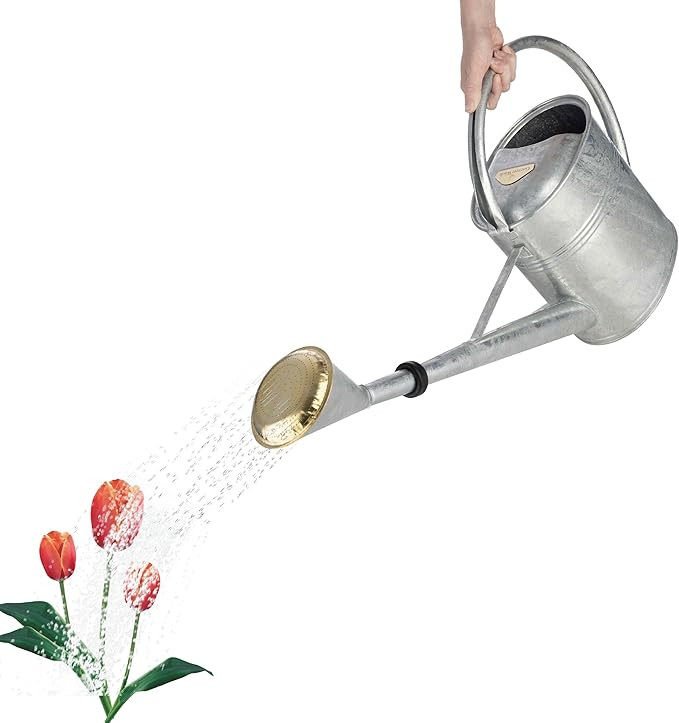 2 Gallon Plant Watering Can with Removable Spout - Galvanized Steel Metal Watering Can for Indoor... | Amazon (US)