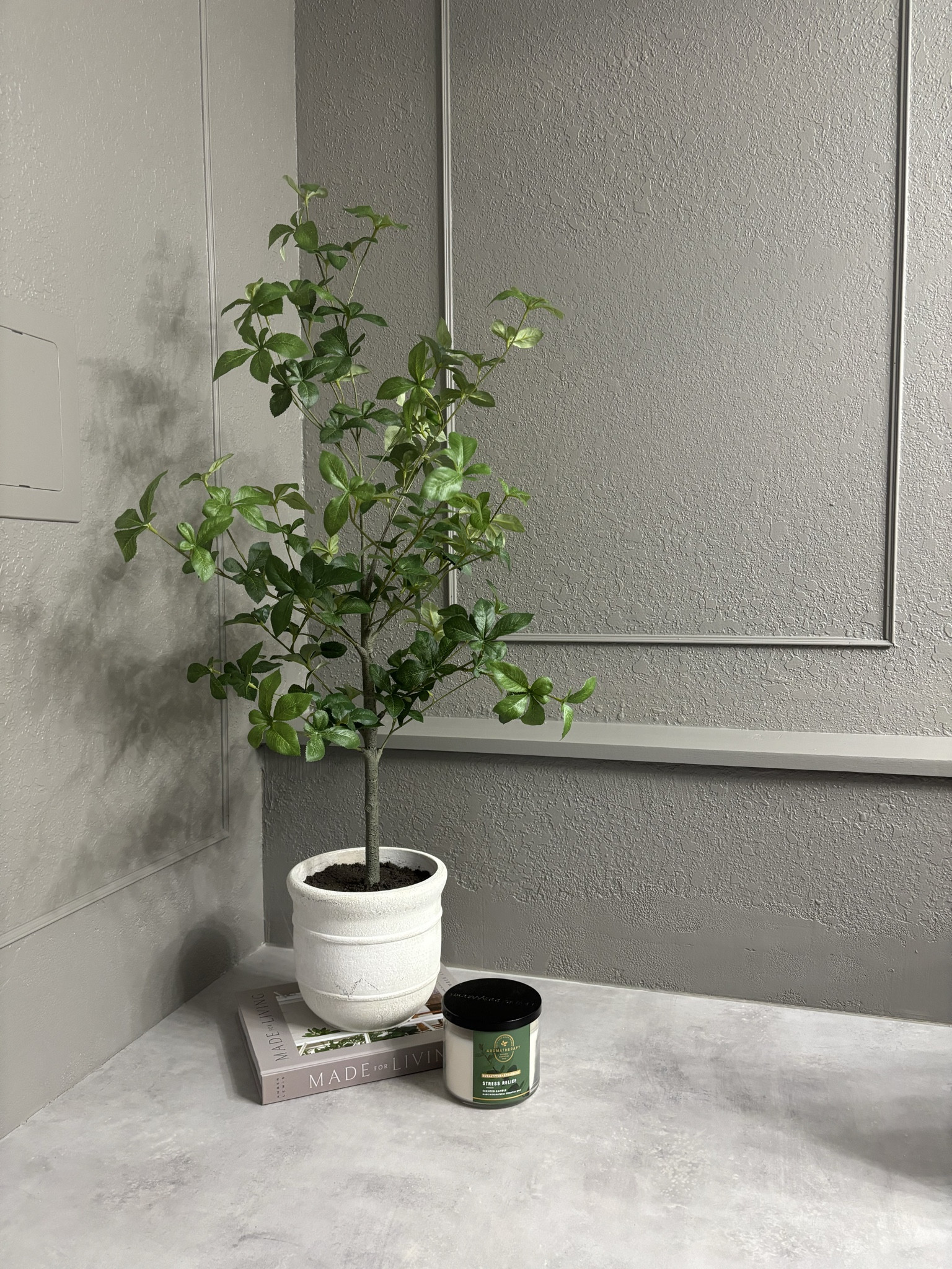 Office links 🫶🏻