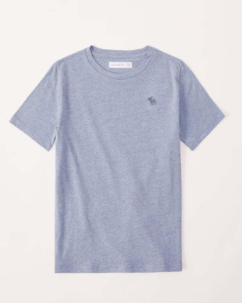 essential icon tee | Abercrombie & Fitch (US)