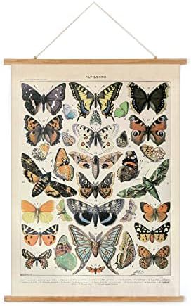 Vintage Butterfly Poster Hanger Frame, Retro Style Wall Decor Art Painting, Patterns are Printed ... | Amazon (US)