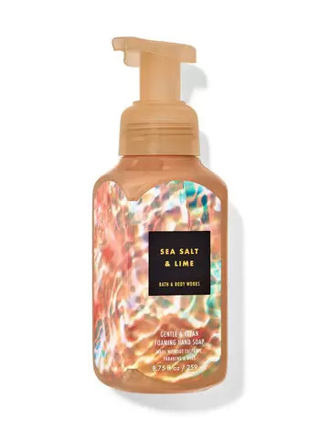Sea Salt & Lime


Gentle & Clean Foaming Hand Soap | Bath & Body Works