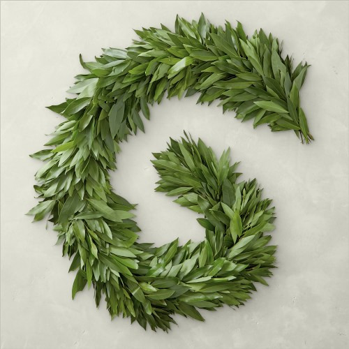 12' Bay Leaf Garland, Jan 2 -6 | Williams-Sonoma