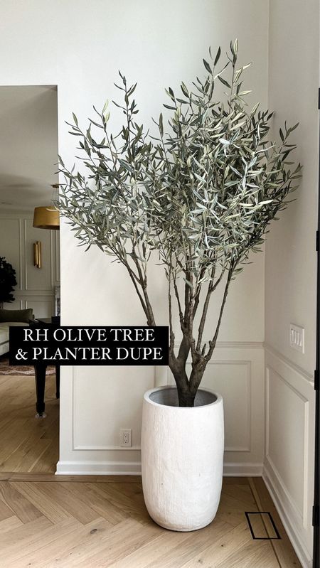 My tree and planter are from RH (discontinued) but I found very similar and great quality! Saw in store and was impressed! #fauxtree #homedecor #olivetree

#LTKhome