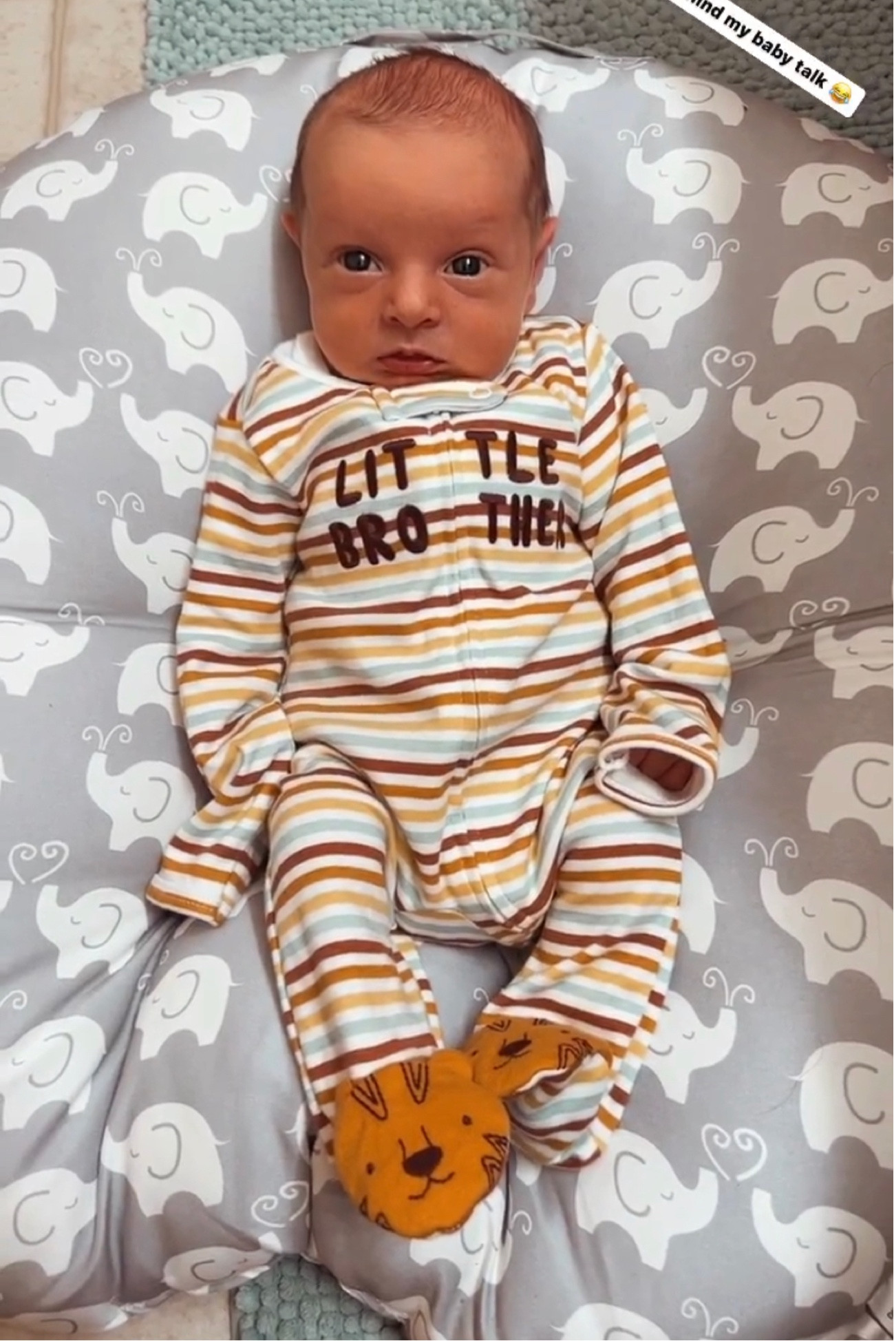 Our Favorite Newborn Lounger 🤟🏻💕

#LTKbaby #LTKbump #LTKfamily