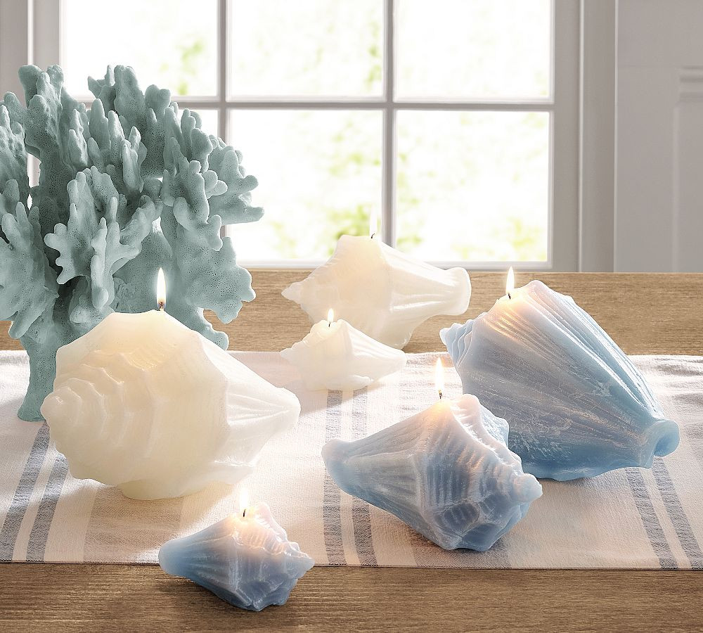 Conch Shell Candle | Pottery Barn (US)