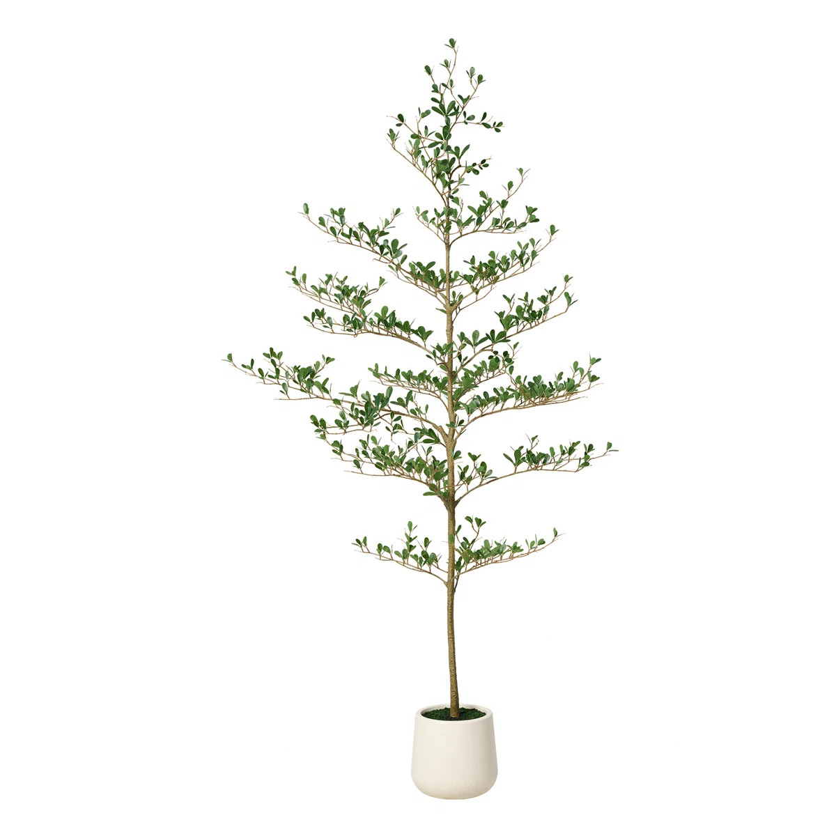 Adcock Faux Olive Tree, Fake Olive Tree with UV Protection for Indoor & Outdoor Decor | Wayfair North America