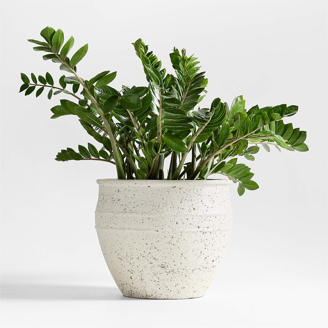 Malta Ivory Indoor/Outdoor Planter 11"x9.5" + Reviews | Crate & Barrel | Crate & Barrel