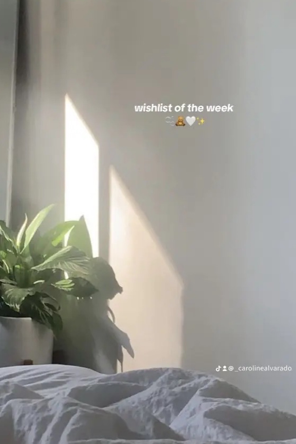 wishlist of the week ✨