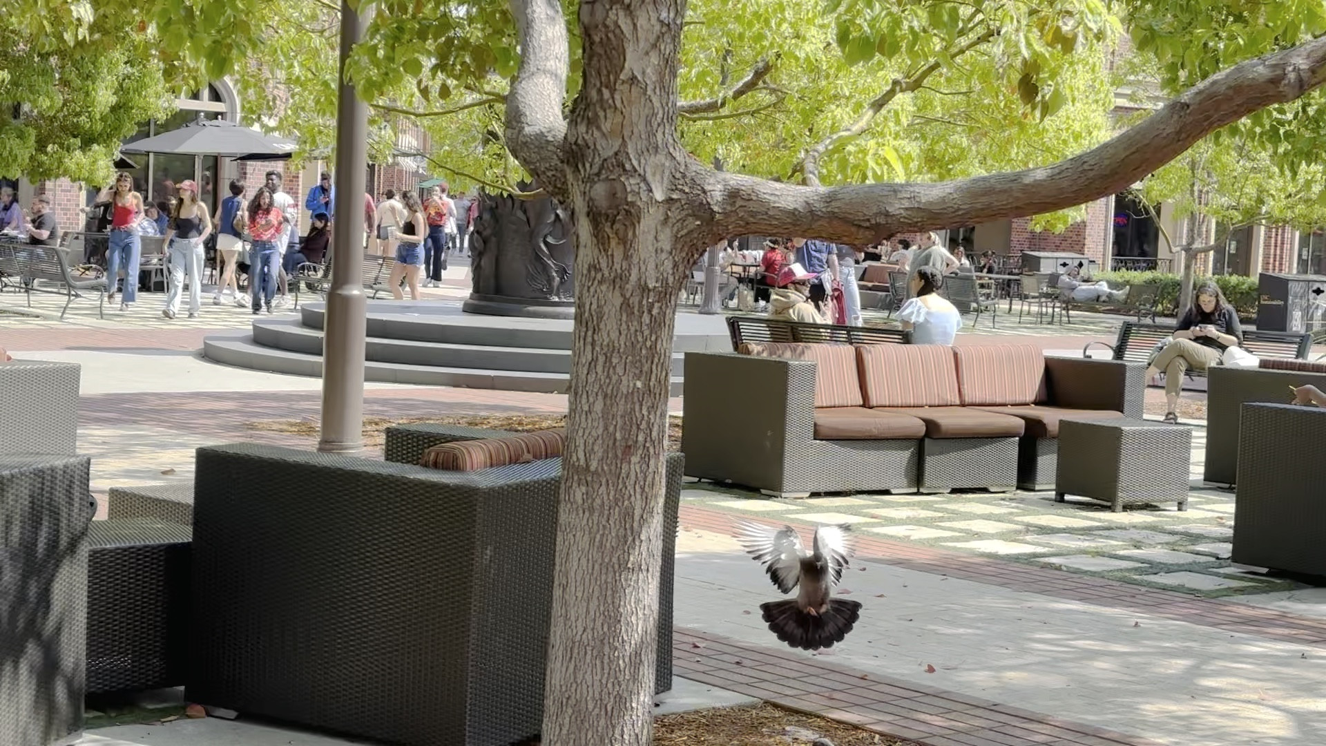 Everyone loves outdoor lounging. 

#LTKsalealert #LTKSeasonal #LTKhome