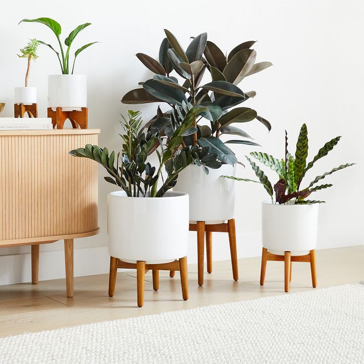 west elm | West Elm (US)
