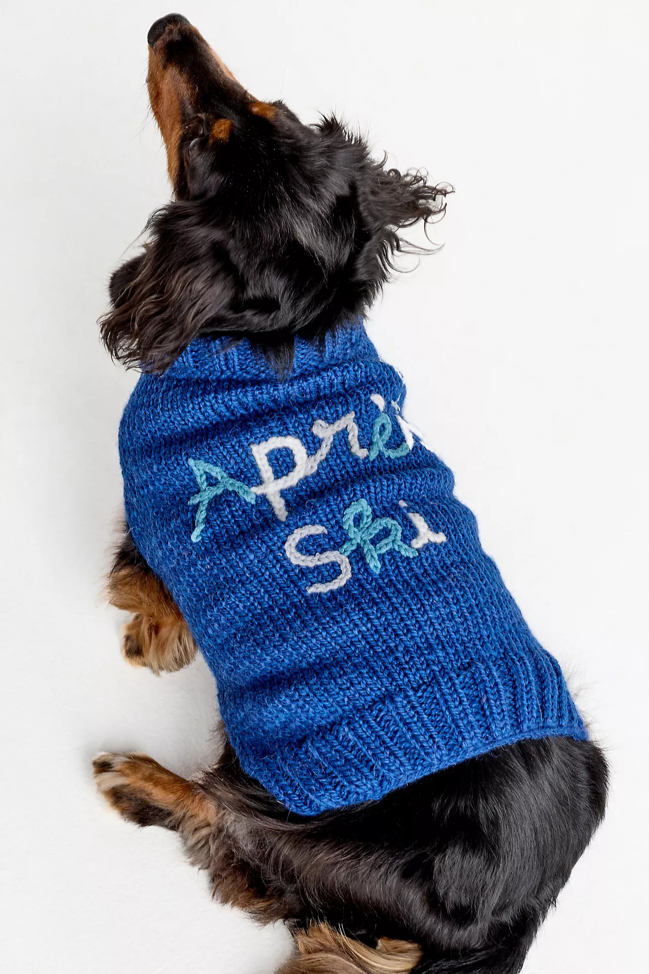 Hand-Knit Holiday Phrase Pet Sweater | Anthropologie (US)