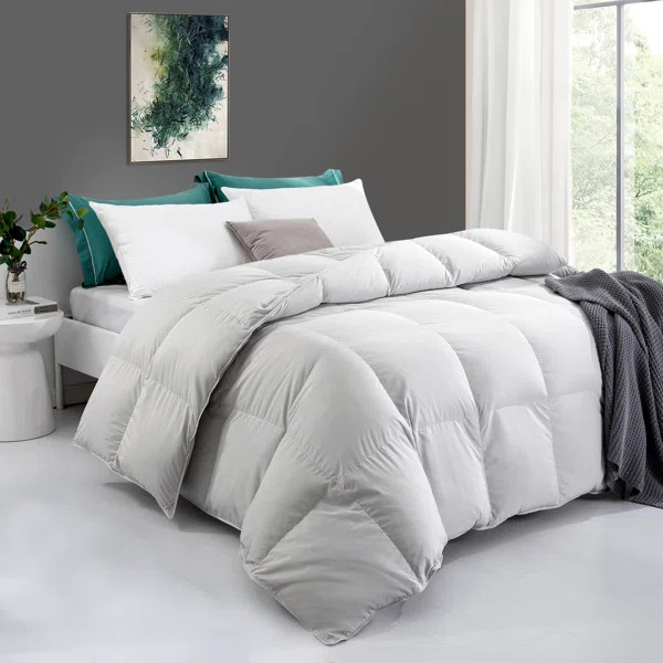 600in³/oz Fill Power All Season Duck Down Comforter | Wayfair North America