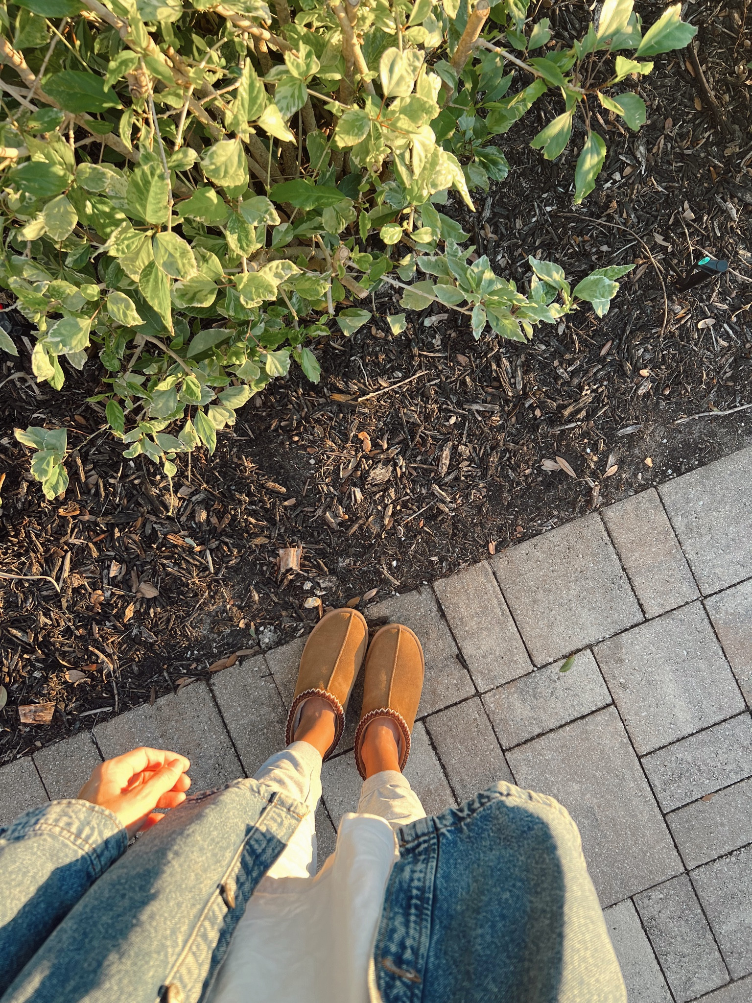 Cozy winter shoes

#LTKSeasonal #LTKFindsUnder50