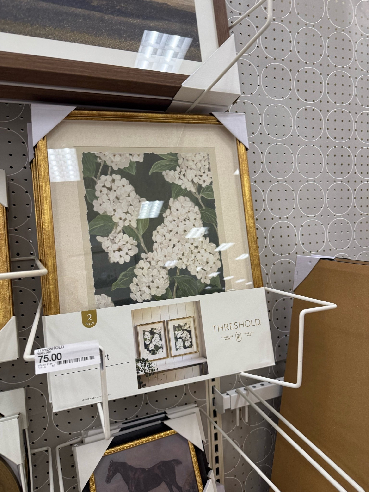 Hydrangea pictures, target