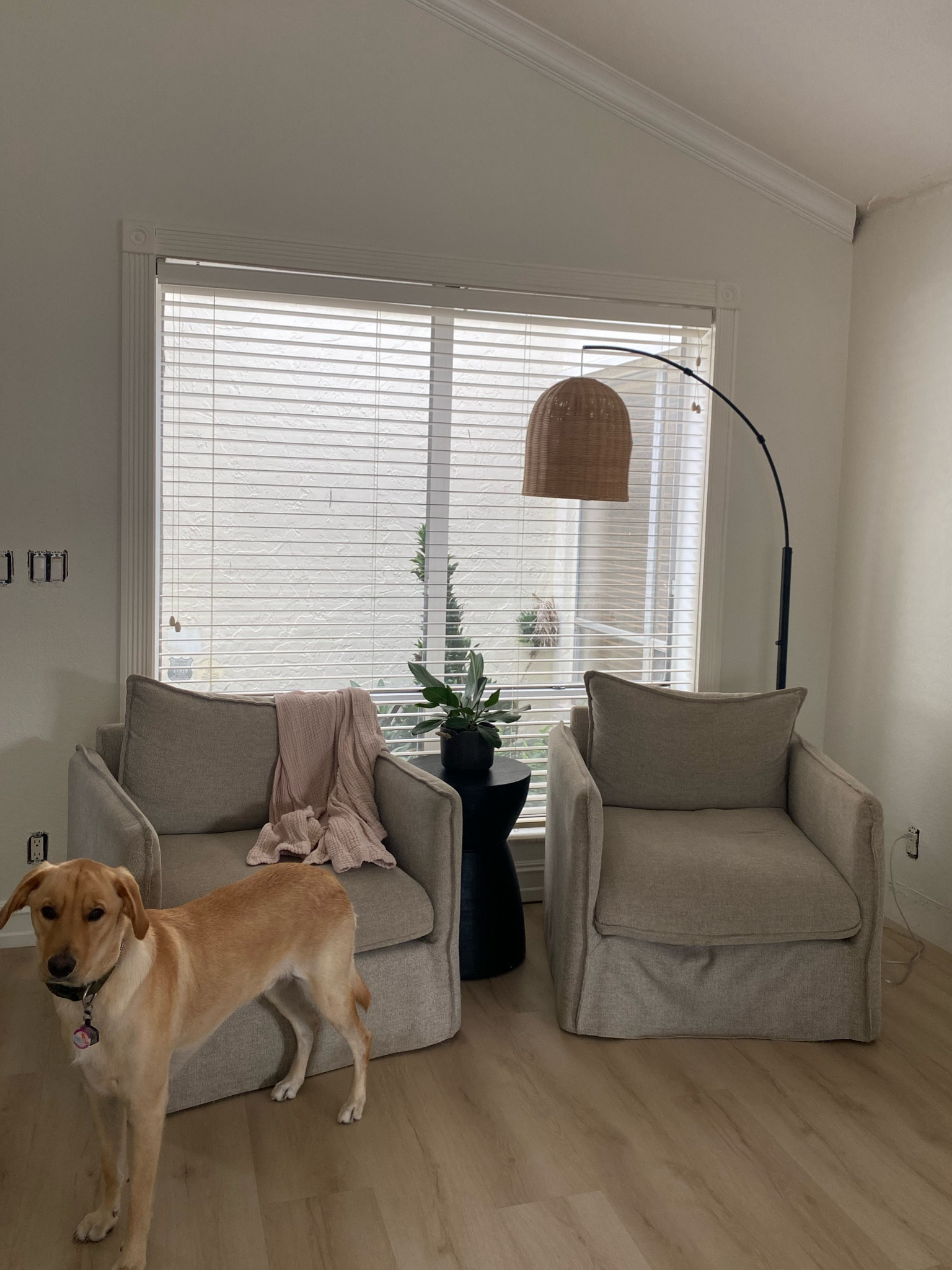 Seating area, living room decor, organic modern home, target chairs, target finds

#LTKHome #LTKSaleAlert #LTKSeasonal