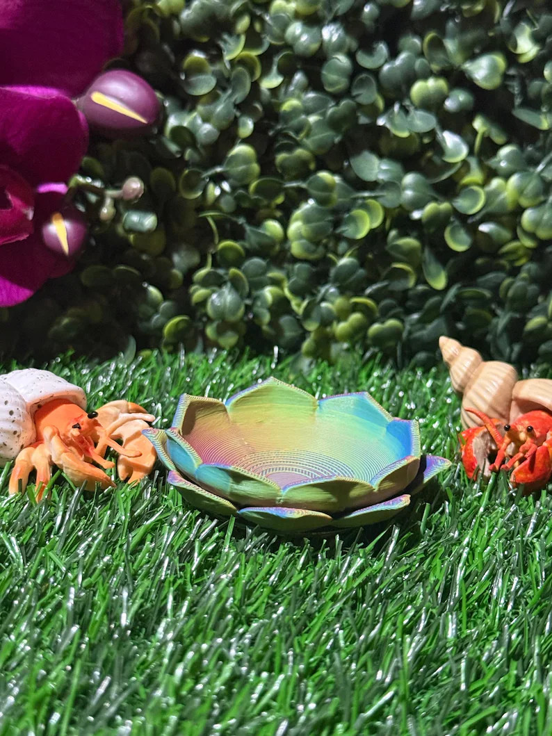 Essentials Food Dish - Etsy | Etsy (US)