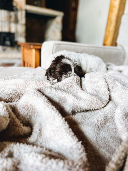 Such a cozy blanket! 
Fashionablylatemom 
CozyChic™ Stripe Throw Blanket
Cuddle up under a microfiber blanket that's extra soft and cozy—just the thing for chilly days and nights.

#LTKGiftGuide