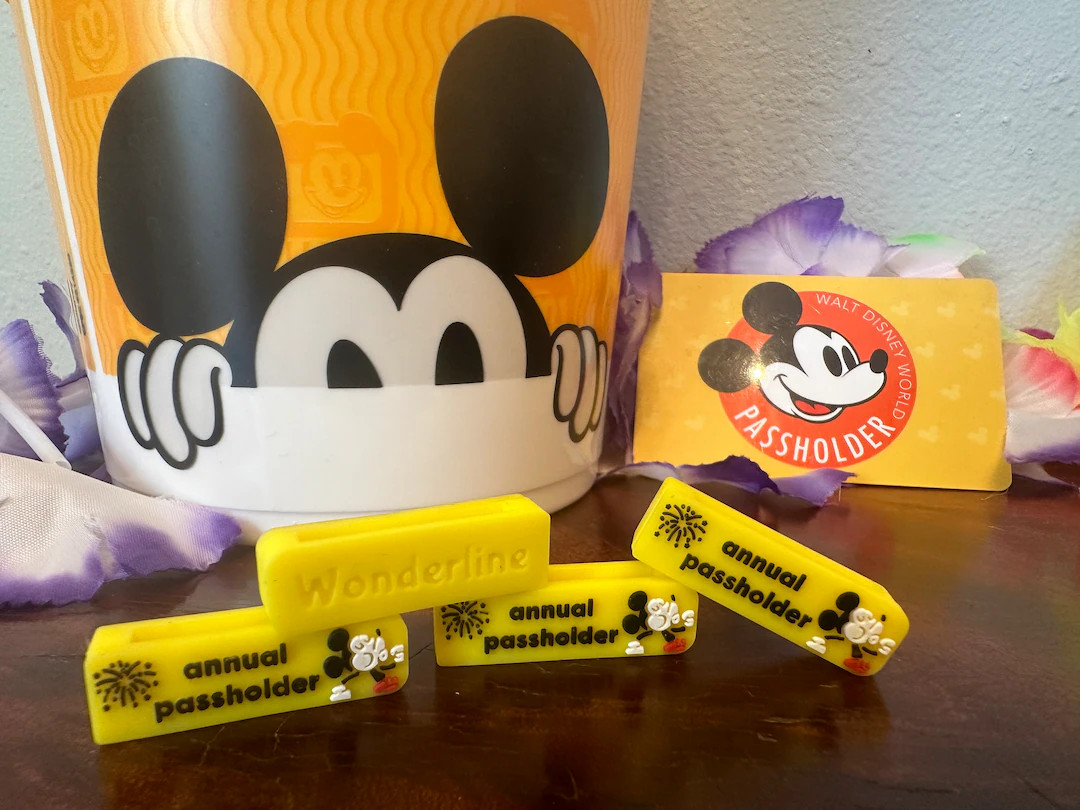 Annual Passholder Walt Disney World Magic Band Slider - Etsy | Etsy (US)