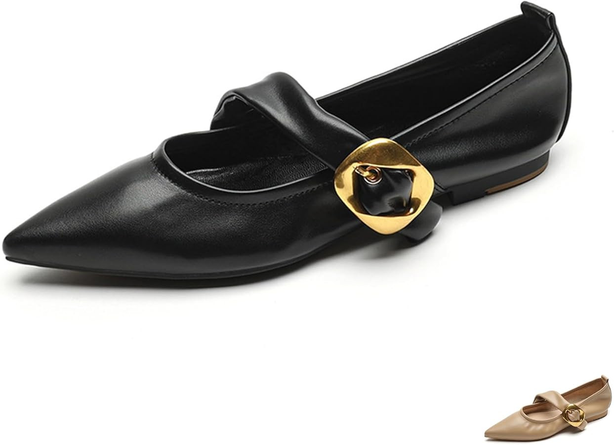 Zeberfi Women's Leather Mary Jane Flat Shoes with Adjust Metal Buckle Fashion Closed Pointed Toe ... | Amazon (US)