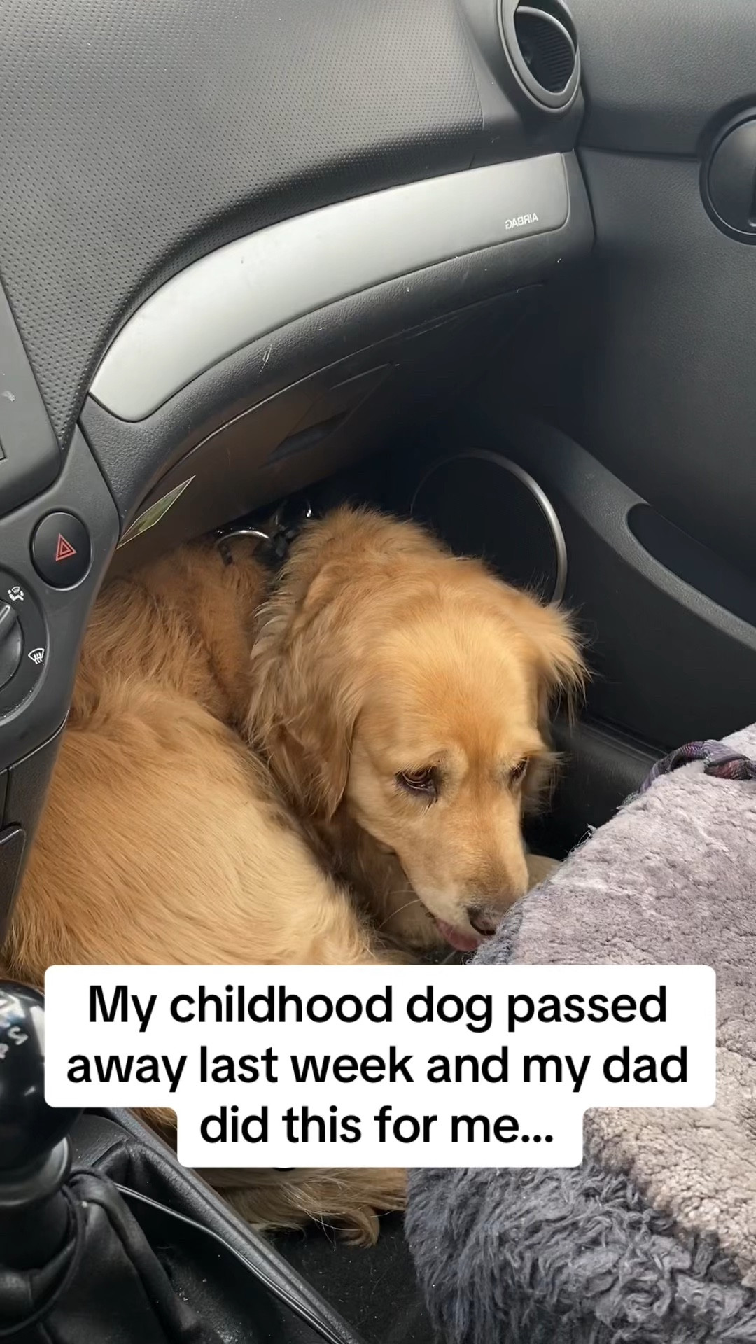 LINK IN PROFILE  🌈 Bidding farewell to my beloved furry friend. 💔 My dog passed away, leaving behind paw prints that will forever be imprinted on my soul. And amidst the tears, I find solace in cherished memories and the absolute best gift I ever received: this digital picture frame. Grab Yours Here: https://amzn.to/43w6D2B  🐾 This frame isn't just any ordinary one—it's a treasure trove of moments, a keeper of joy. It plays movies, videos, photo slides, and more, bringing to life every tail-wagging adventure and goofy grin. From beach days to lazy cuddles on the couch, it's captured it all.  💖 What I love most is how it immortalizes the spirit of my furry companion, forever frolicking in pixels and frames. It's been a comforting companion during tough times, reminding me of the joy we shared. And you know what? It's not just great for me; it's great for loved ones too, offering a glimpse into our cherished bond.  🐾 So, as I navigate through this loss, I'll find solace in the memories etched in this magical frame. My dog may have crossed the rainbow bridge, but their spirit dances on in every digital frame. Here's to you, my faithful friend. 🌈 #ForeverInMyHeart  #furbaby  #doglove  #dogslife  #petcare  #petmemories  #dogmemorial  #petmemorial  #lovemydog  #missmydog 

#LTKstyletip #LTKhome #LTKVideo