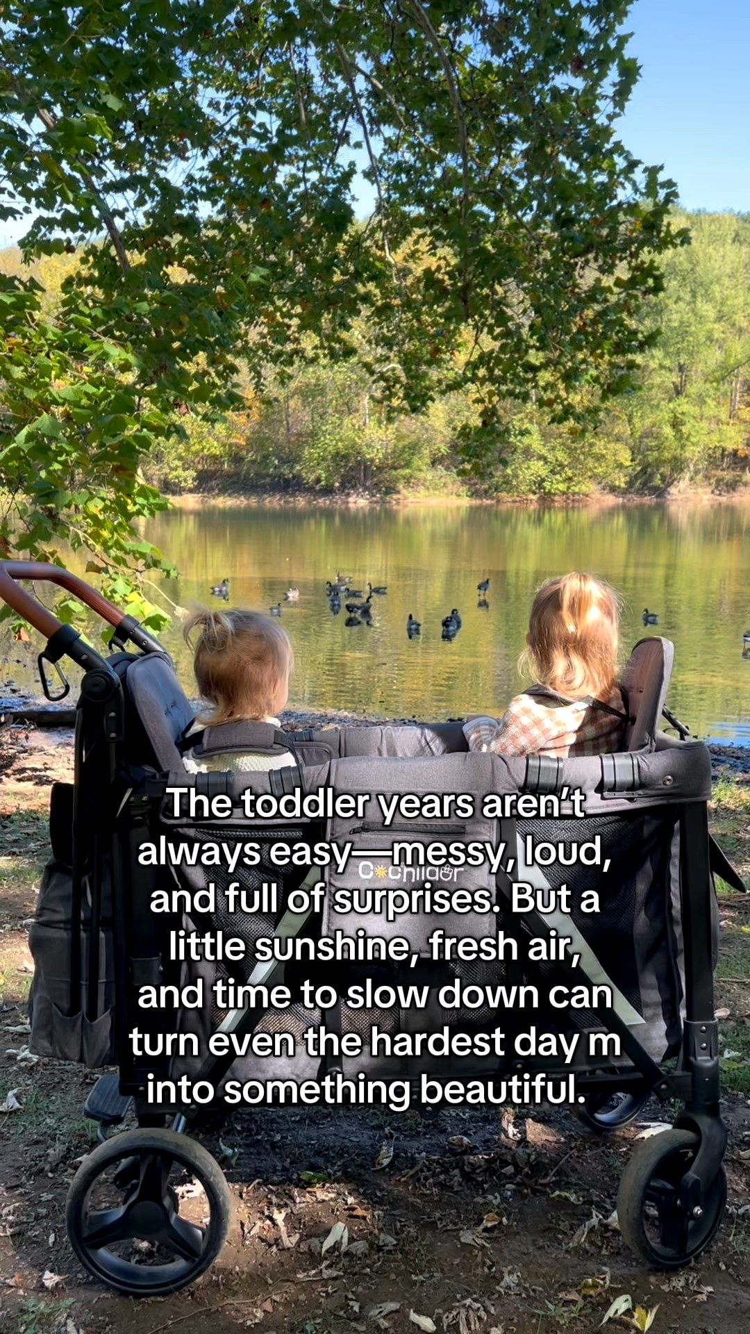 Use Discount code 10ABBYVIP to save on the 2 seater Elite wagon! 

#LTKBaby #LTKFamily #LTKKids