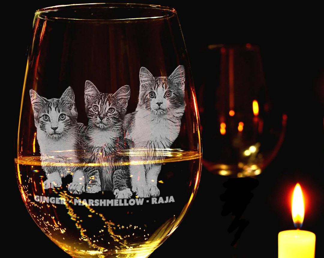 Custom Wine Glasses /pet Lover Gifts / Cat Lover Gifts / Custom Photo Gifts / Gifts for Cat Lover... | Etsy (US)