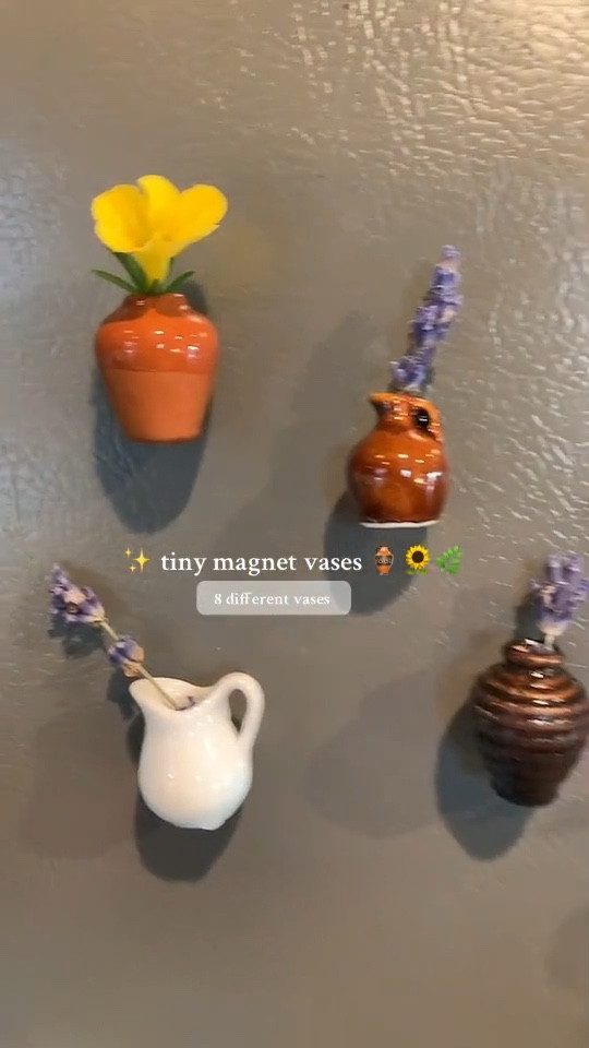 every toddler mom needs these ☺️ #minimagnets #minivase #vase

#LTKFamily #LTKKids #LTKHome