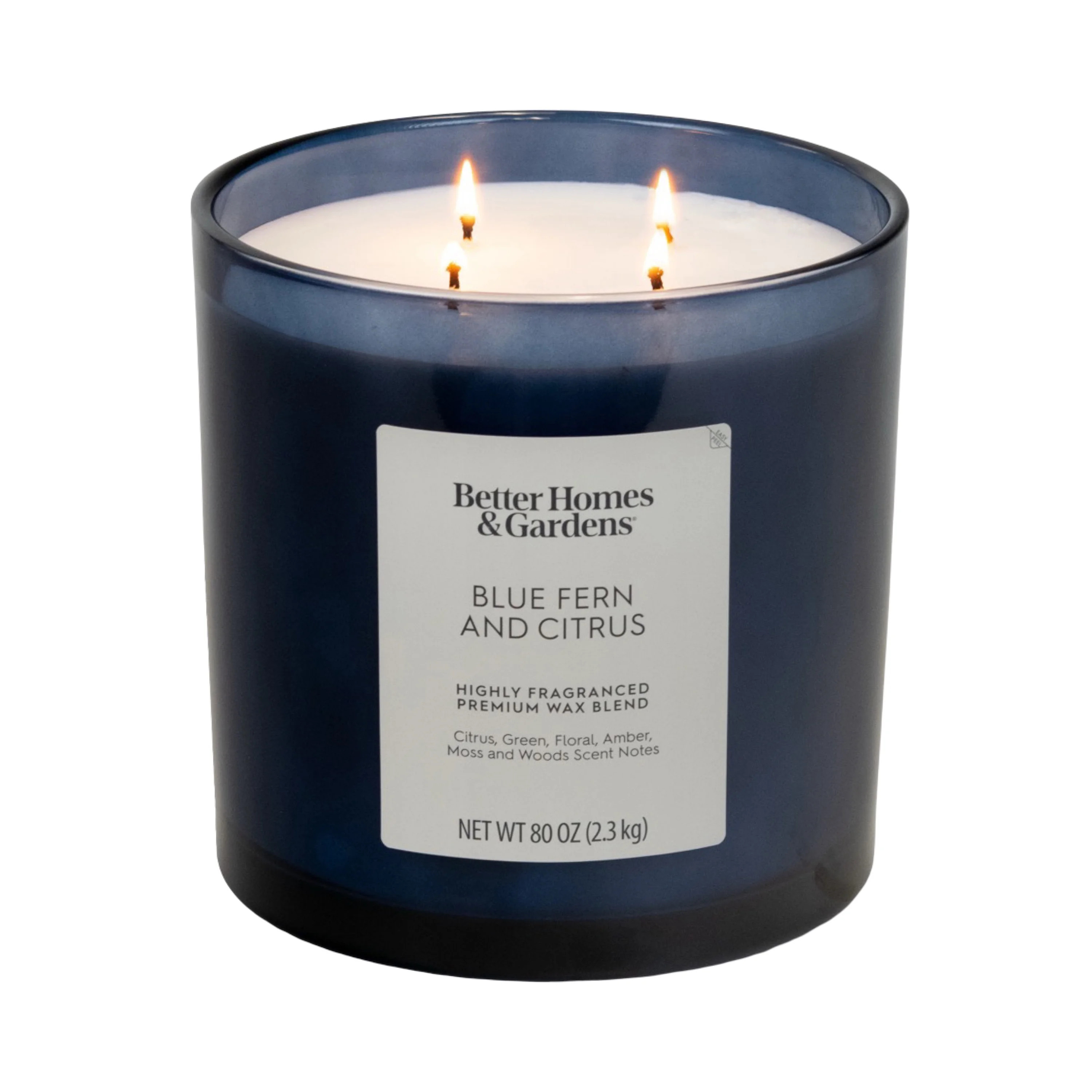 Better Homes & Gardens Blue Fern & Citrus Scented 4-Wick Large Oversized Jar Candle 80oz. | Walmart (US)