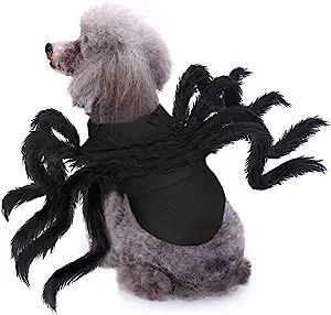 BWOGUE Halloween Pet Costume Spider Cosplay Apparel Dog Cat Spider Costume for Party Costume for ... | Amazon (US)