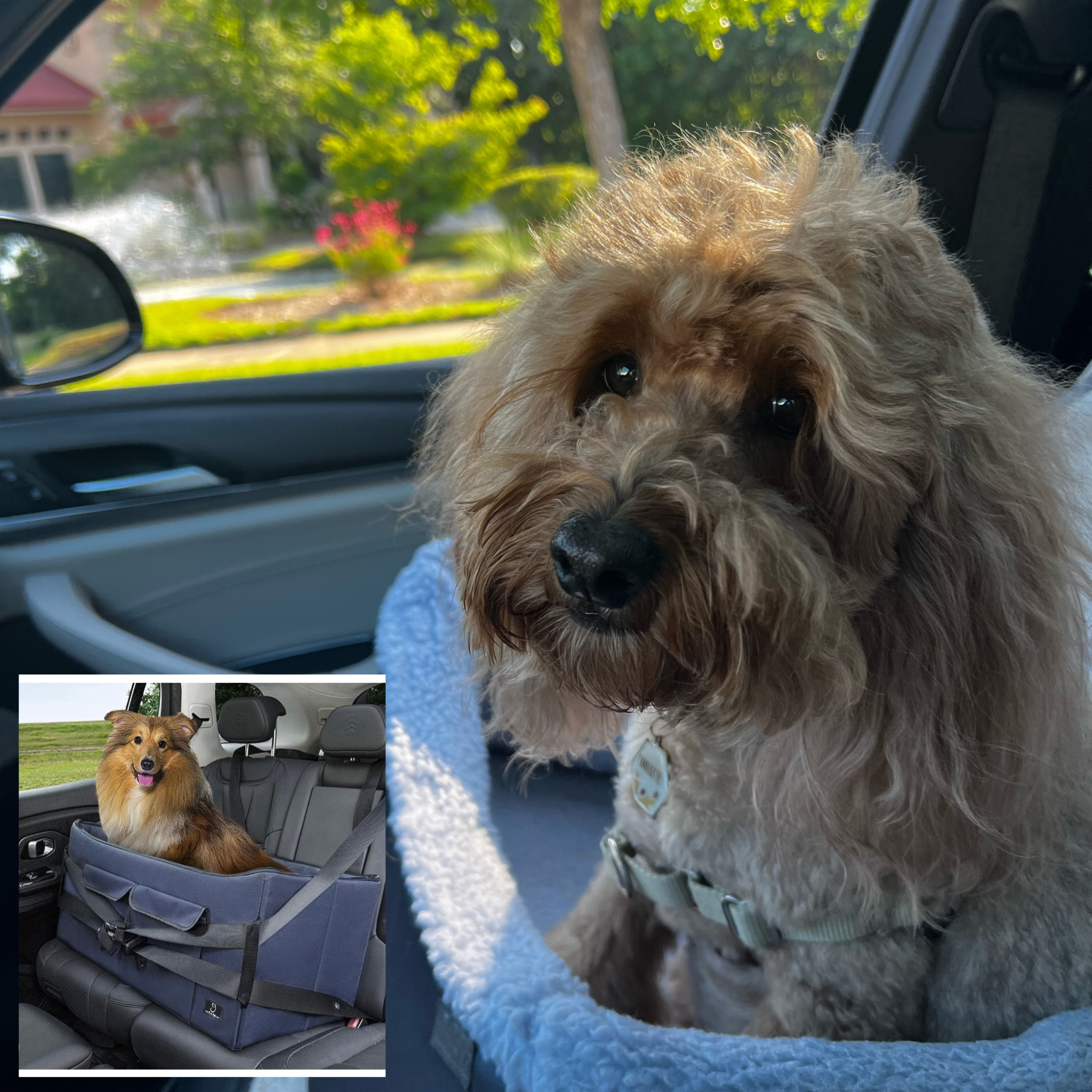 Doggy car seats! We love this front car seat for Charlotte. It’s comfortable, washable liner,  tether buckles in securely for her harness. Just ordered this large dog backseat car seat for Chloe. It holds up to 55 pounds has a removable washable bed with two different covers for different seasons one for summer/spring & one for winter/fall temps  

#LTKfindsunder100 #LTKfamily #LTKGiftGuide