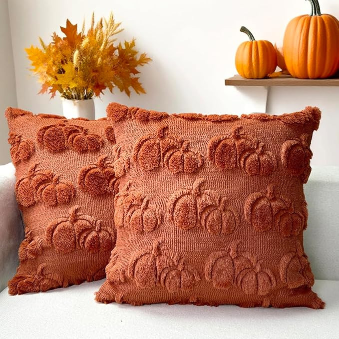 Booque Valley Fall Decorative Pillow Covers Set of 2 18"x18" Soft Plush Faux Fur Wool 3D Rust Pum... | Amazon (US)