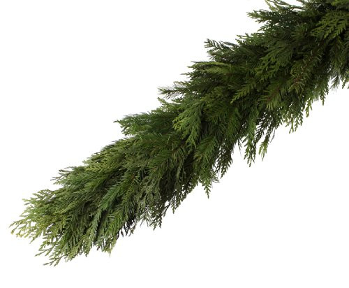 Fernhill Douglas Fir and Western Red Cedar Garland, 10-Feet | Amazon (US)