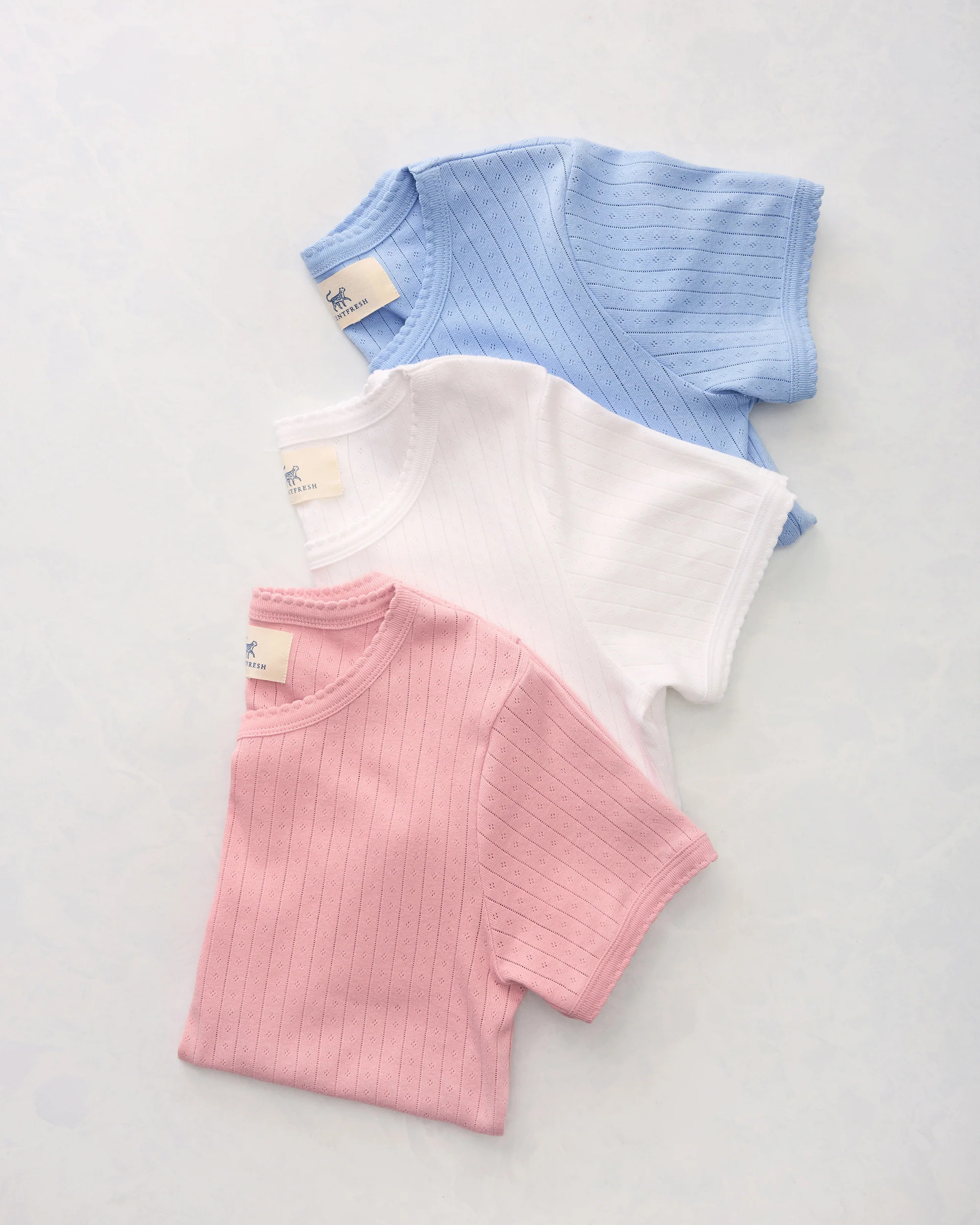 Cotton 3-Piece Pointelle Tee Bundle in | Women's XS | Mutliple Colors | | Printfresh