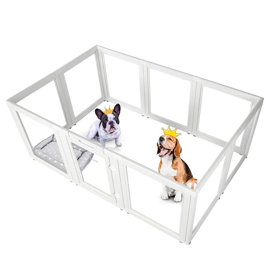 Clear Acrylic Plastic Dog Playpen - Clear Dog Play Pen - Easy Assemble Acrylic Dog Playpen - Pupp... | Amazon (US)