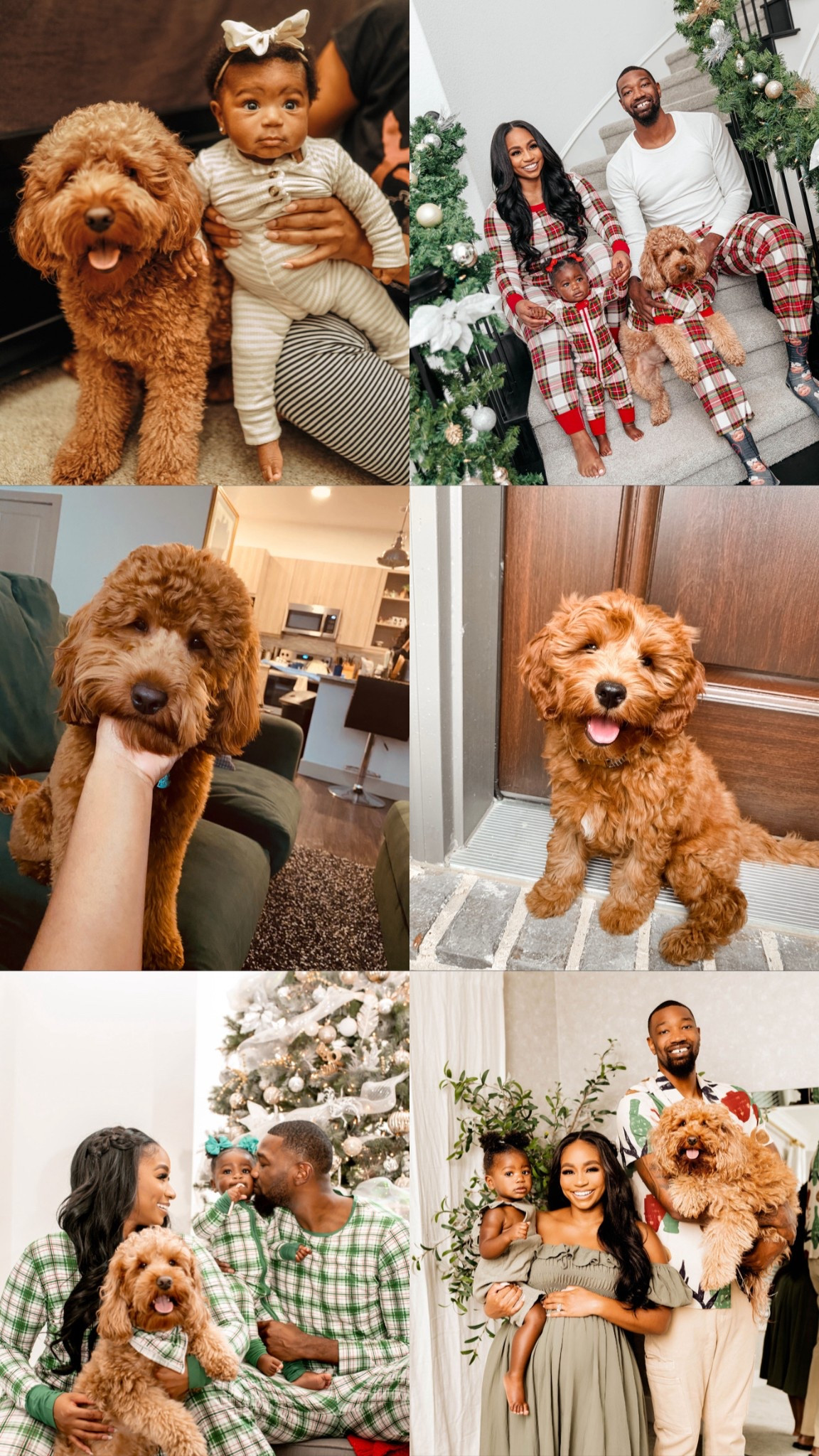 @chewy #chewypartner 
Download the Chewy App and shop the holiday collection, then send in your Chewy Claus letter! For every letter sent, Chewy Claus donates 5x meals to pets in need. 

#LTKHoliday #LTKFindsUnder100