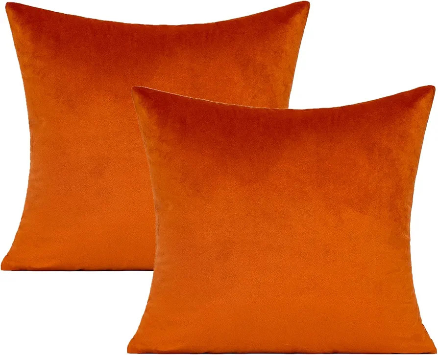 20x20 Inches Burnt Orange Fall Outdoor Throw Pillow Covers Rust Velvet Thanksgiving Decor Autumn ... | Amazon (US)