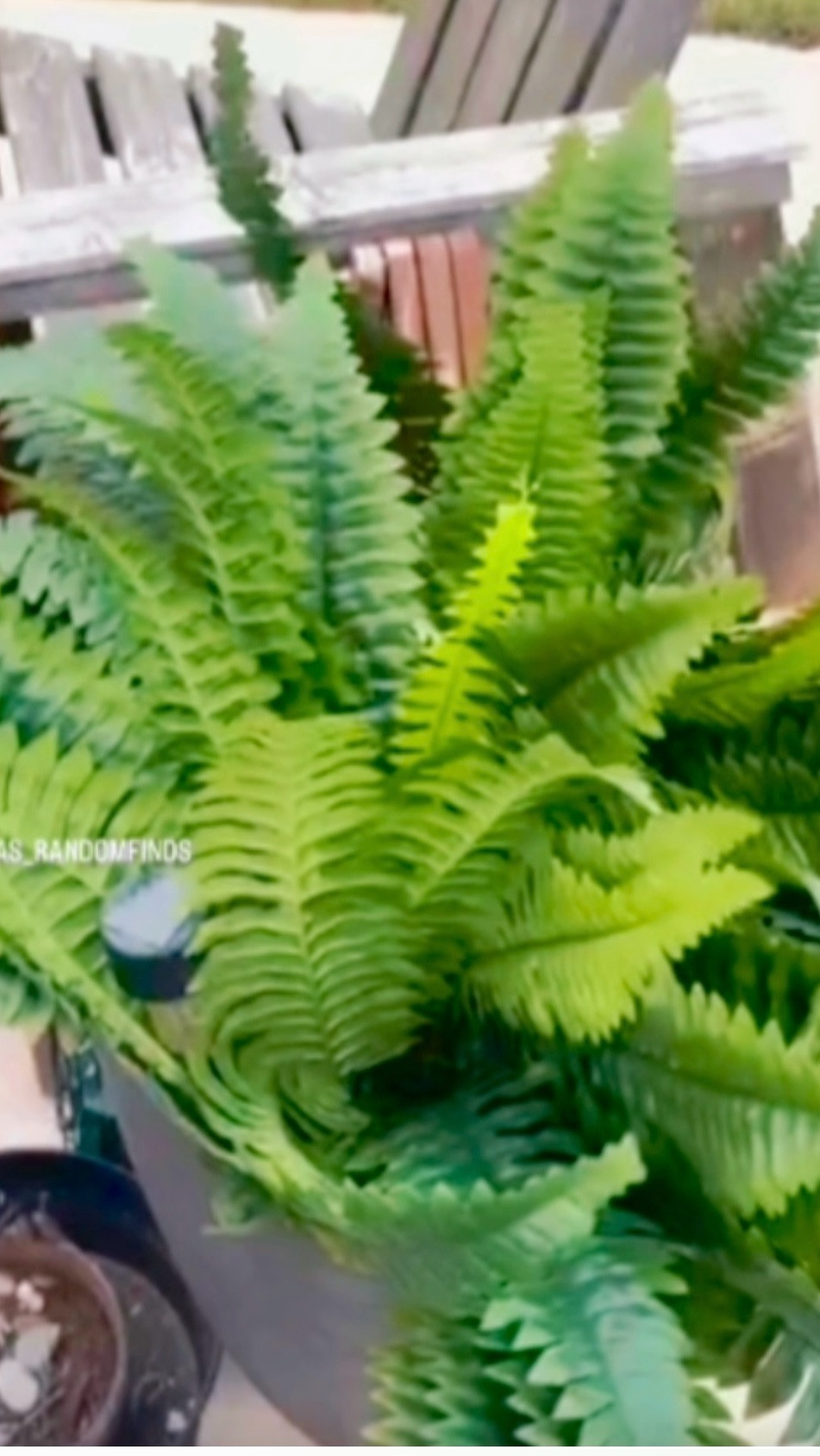 ‼️Danas_Randomfinds‼️ 
Follow☑️Like👍🏻Share🫶🏻
🛍️Where you will get daily random fashion finds based on comfort, quality and style!!!!   Thank you 😊 
#amazonfinds 
#danasrandomfinds #amazonessentials 
#amazonfashion 
#emptynester 
#over50
Below ⬇️ is how you get your links!!!l#LTKSpringSale

#LTKHome #LTKSeasonal