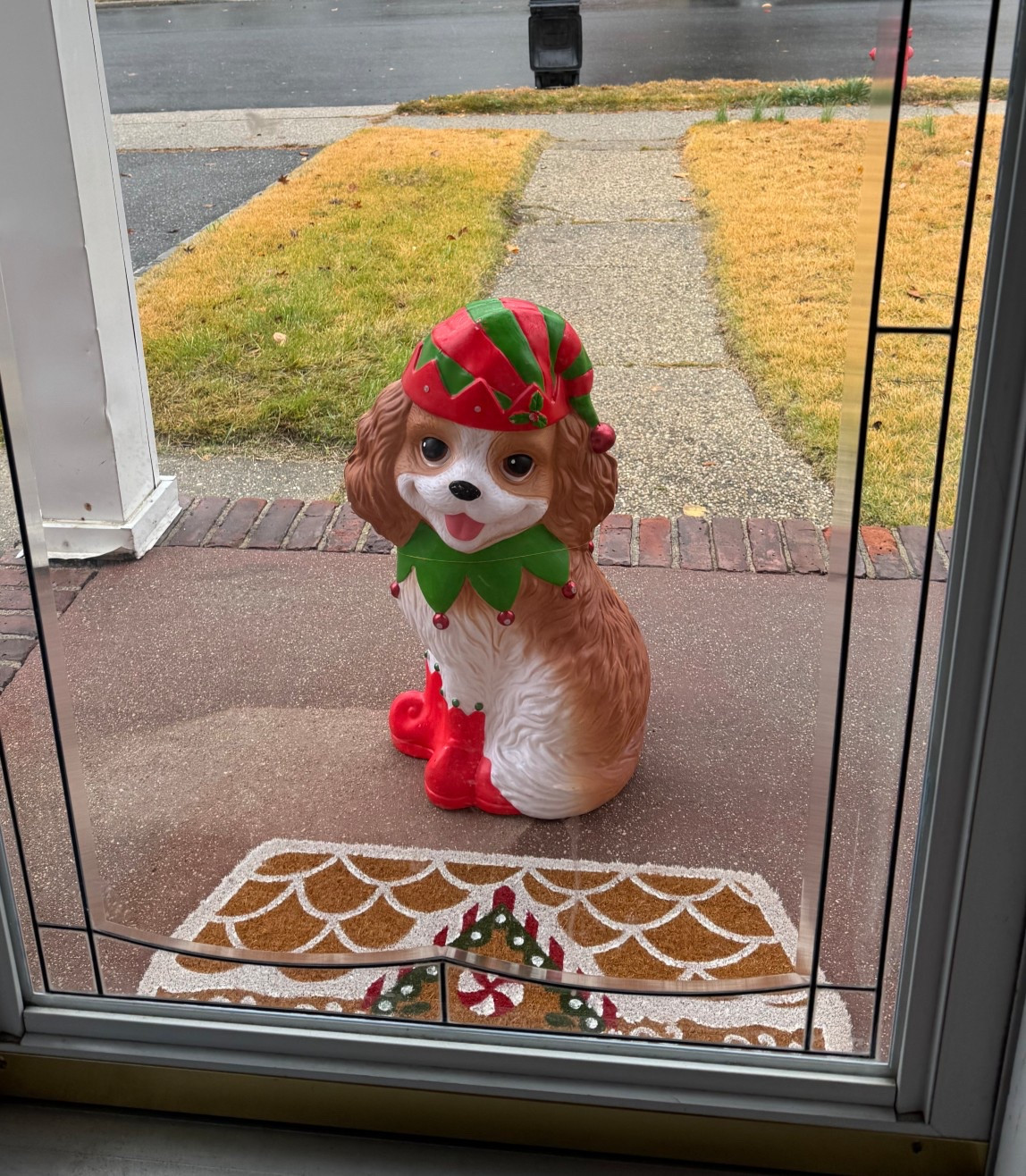 Cavalier Christmas Decor 

#LTKGiftGuide