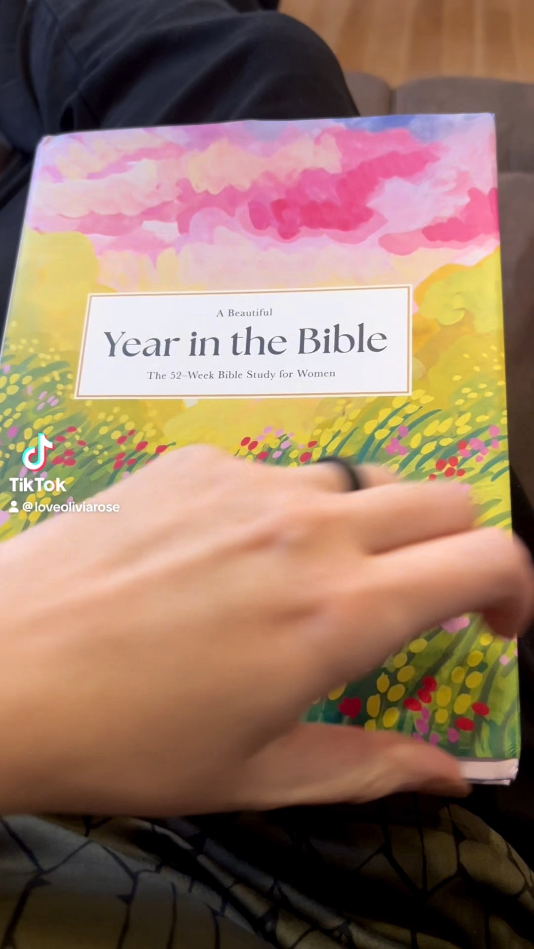 Alabaster Beautiful Year in the Bible! This was a free TikTok sample but I’ve been wanting to buy this for a while!! So excited to dive into this book and read the Bible in 1 year! 

#LTKFamily #LTKFindsUnder50 #LTKHome