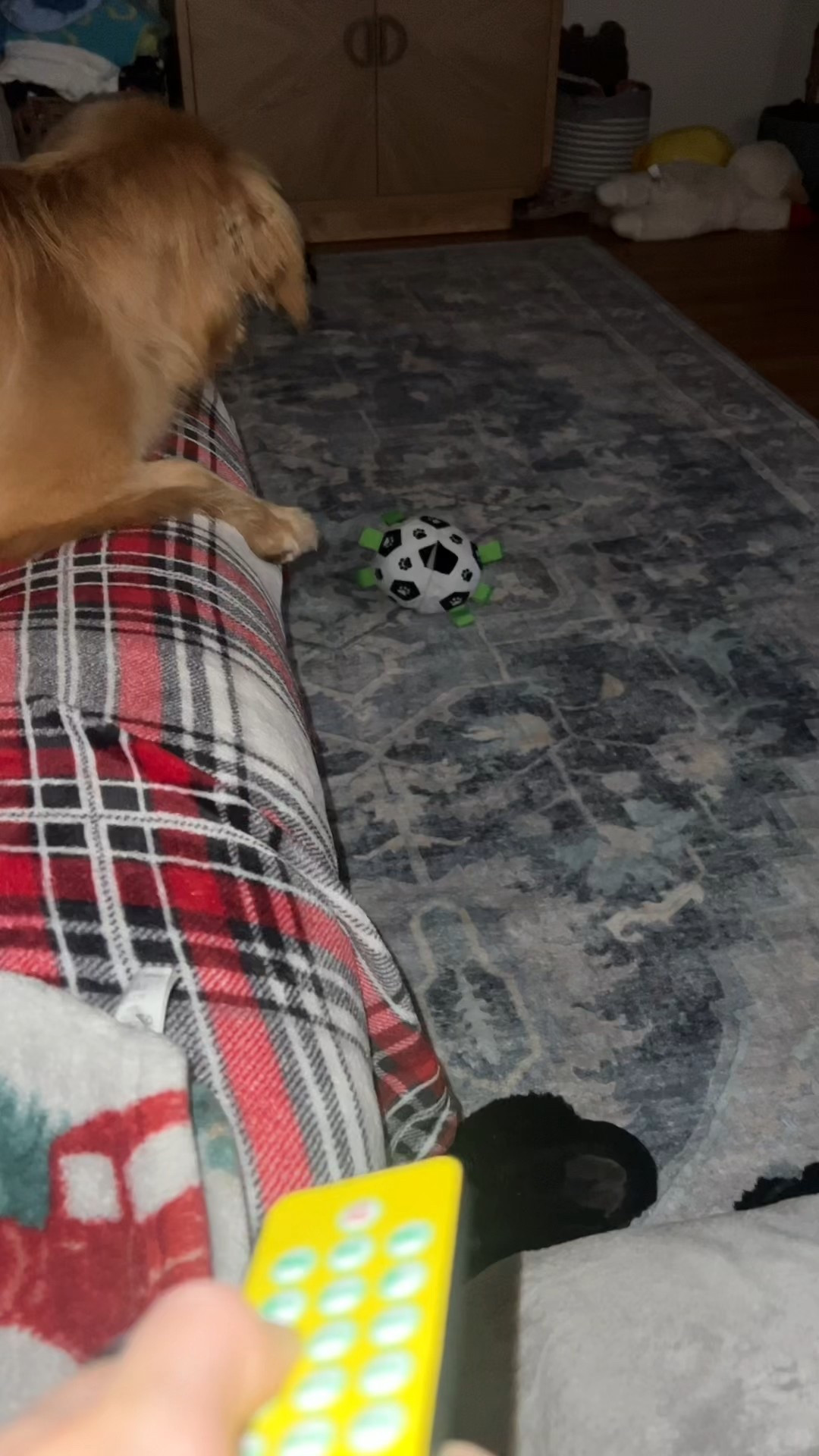 The toy that keeps your dog busy! 

#LTKKids #LTKHome #LTKPets