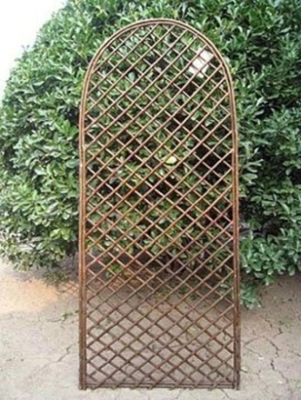 72'' H x 24'' W Wood Lattice Panel Trellis | Wayfair North America