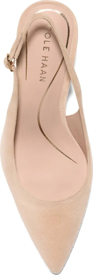 Hansell Slingback Pointed Toe Pump (Women) | Nordstrom