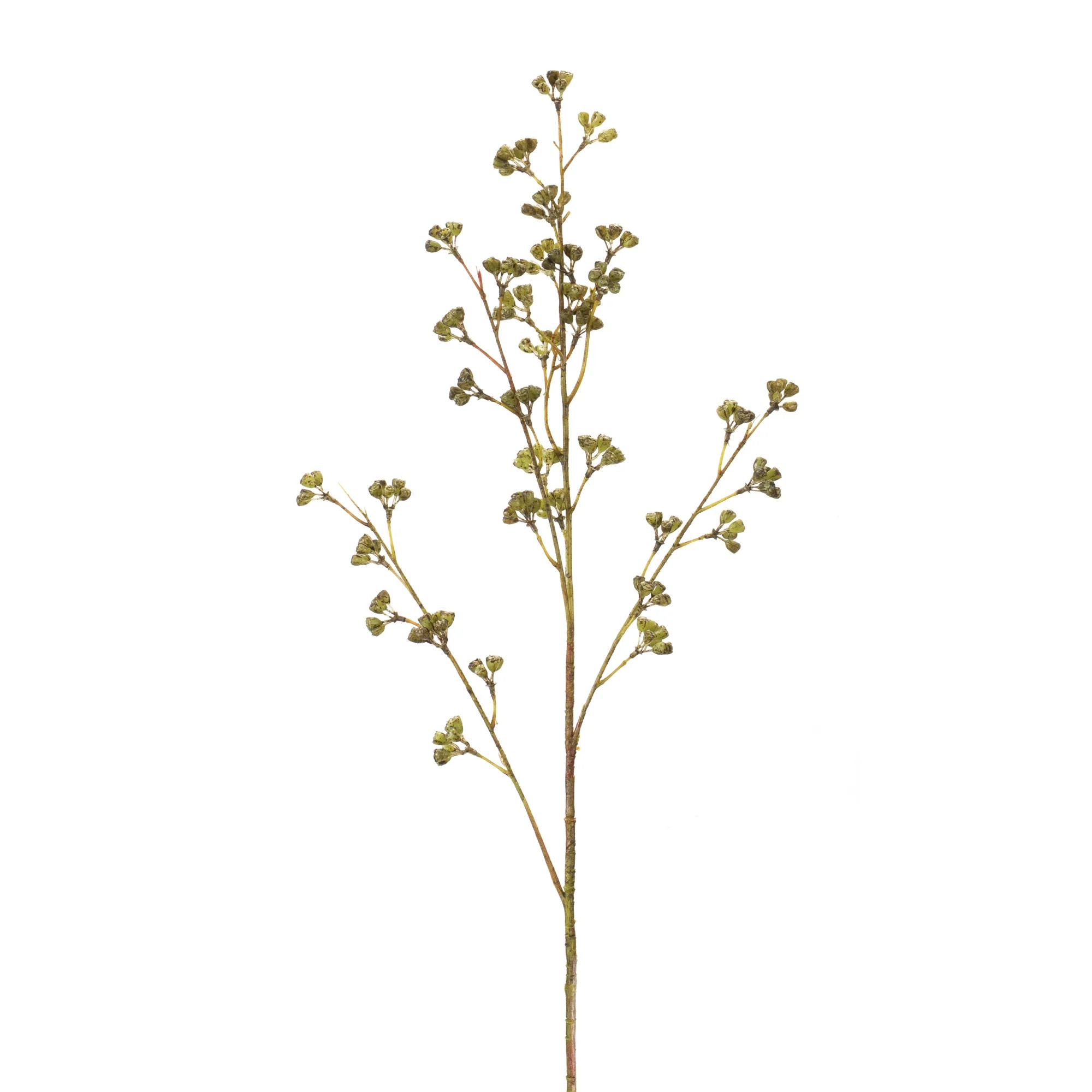 Winter Berry Pod Spray (Set of 6) | Pier 1