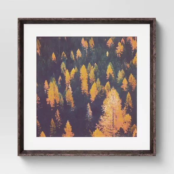 20" x 20" Fall Trees Framed Wall Art - Threshold™ | Target