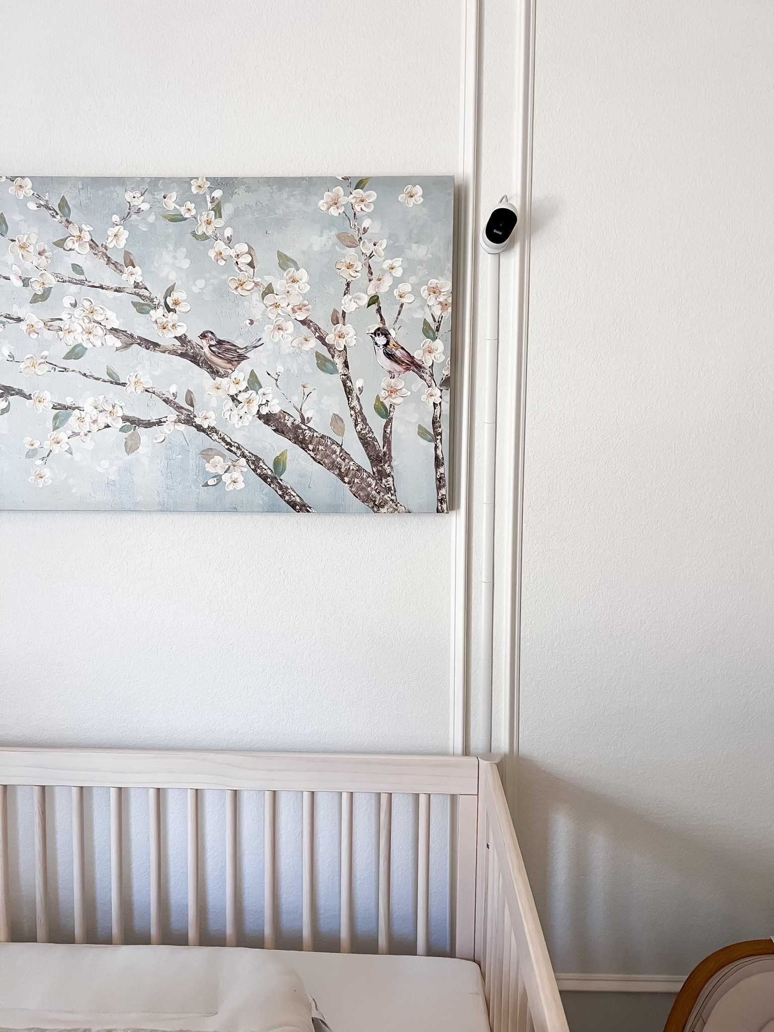 Best Buy is having a sale on the Owlet dream duo 2! Save $75 on the sock and camera!! We got it for baby girls nursery!

#bestbuypartner // #bestbuy #onlyowlet // baby monitor // nursery

#LTKbaby #LTKbump #LTKfamily