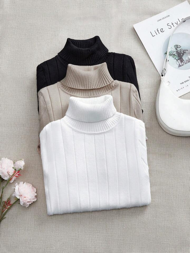 SHEIN LUNE 3 Peças Conjunto De Suéter Casual Feminino Quente Clássico De Combina Tudo, Outono/Inverno | SHEIN